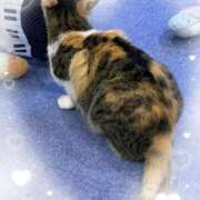 ヒメ日記 2025/08/20 13:13 投稿 まりあ 高知デリヘル倶楽部 人妻熟女専門店