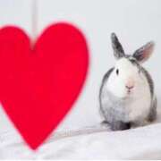 ヒメ日記 2025/08/27 11:01 投稿 まりあ 高知デリヘル倶楽部 人妻熟女専門店