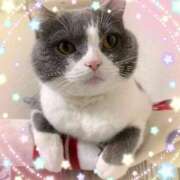 ヒメ日記 2025/09/02 13:00 投稿 まりあ 高知デリヘル倶楽部 人妻熟女専門店