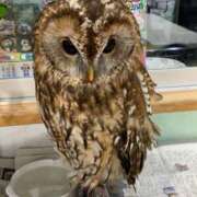 ヒメ日記 2025/09/02 19:49 投稿 まりあ 高知デリヘル倶楽部 人妻熟女専門店