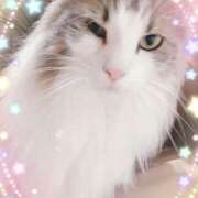 ヒメ日記 2025/09/07 20:33 投稿 まりあ 高知デリヘル倶楽部 人妻熟女専門店