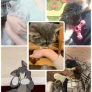 ヒメ日記 2025/10/28 16:01 投稿 まりあ 高知デリヘル倶楽部 人妻熟女専門店