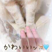 ヒメ日記 2025/11/01 13:21 投稿 まりあ 高知デリヘル倶楽部 人妻熟女専門店