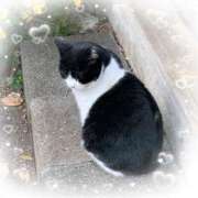 ヒメ日記 2025/11/03 13:17 投稿 まりあ 高知デリヘル倶楽部 人妻熟女専門店