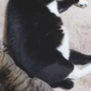 ヒメ日記 2025/12/03 19:02 投稿 まりあ 高知デリヘル倶楽部 人妻熟女専門店