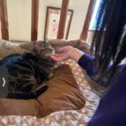 ヒメ日記 2025/12/11 10:15 投稿 まりあ 高知デリヘル倶楽部 人妻熟女専門店