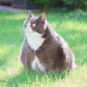 ヒメ日記 2025/12/11 14:00 投稿 まりあ 高知デリヘル倶楽部 人妻熟女専門店