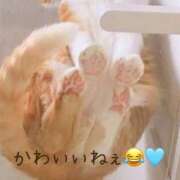 ヒメ日記 2026/01/10 20:39 投稿 まりあ 高知デリヘル倶楽部 人妻熟女専門店