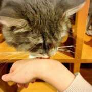 ヒメ日記 2026/01/12 18:25 投稿 まりあ 高知デリヘル倶楽部 人妻熟女専門店