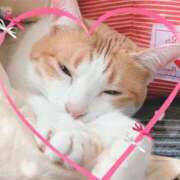 ヒメ日記 2026/01/13 14:00 投稿 まりあ 高知デリヘル倶楽部 人妻熟女専門店