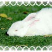 ヒメ日記 2026/01/18 22:03 投稿 まりあ 高知デリヘル倶楽部 人妻熟女専門店