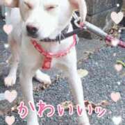 ヒメ日記 2026/01/20 15:01 投稿 まりあ 高知デリヘル倶楽部 人妻熟女専門店