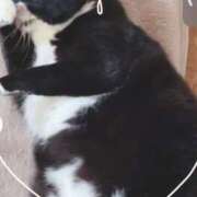 ヒメ日記 2026/01/22 19:47 投稿 まりあ 高知デリヘル倶楽部 人妻熟女専門店