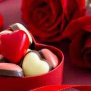 ヒメ日記 2026/02/14 14:00 投稿 まりあ 高知デリヘル倶楽部 人妻熟女専門店