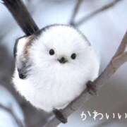 ヒメ日記 2026/03/13 14:01 投稿 まりあ 高知デリヘル倶楽部 人妻熟女専門店