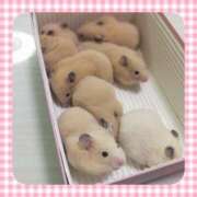 ヒメ日記 2026/03/16 14:01 投稿 まりあ 高知デリヘル倶楽部 人妻熟女専門店