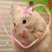 ヒメ日記 2026/03/20 14:00 投稿 まりあ 高知デリヘル倶楽部 人妻熟女専門店