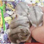 ヒメ日記 2026/03/22 15:03 投稿 まりあ 高知デリヘル倶楽部 人妻熟女専門店