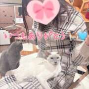 ヒメ日記 2026/04/18 18:32 投稿 まりあ 高知デリヘル倶楽部 人妻熟女専門店