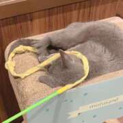 ヒメ日記 2026/08/12 16:20 投稿 まりあ 高知デリヘル倶楽部 人妻熟女専門店