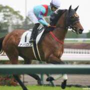 ヒメ日記 2025/05/31 09:00 投稿 天音(あまね) 高知デリヘル倶楽部 人妻熟女専門店