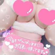 ヒメ日記 2026/01/17 13:22 投稿 ましろ【密着大好き清楚美女】 One More 奥様 新宿店