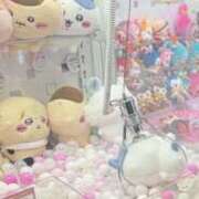 ヒメ日記 2025/12/11 21:25 投稿 みみ マシュマロフロート