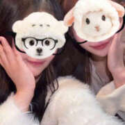 ヒメ日記 2026/01/25 19:44 投稿 みみ マシュマロフロート