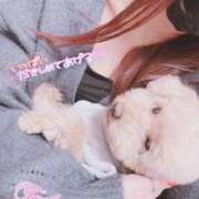 ヒメ日記 2025/05/22 19:31 投稿 春風 とうか 大奥 難波店