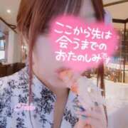 ヒメ日記 2025/05/25 17:30 投稿 春風 とうか 大奥 難波店