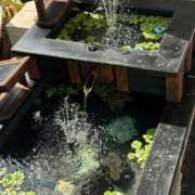 ヒメ日記 2025/08/03 09:50 投稿 悦子(えつこ) エッチな熟女(広島)