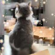 ヒメ日記 2025/10/18 10:00 投稿 悦子(えつこ) エッチな熟女(広島)