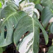 ヒメ日記 2025/10/19 22:33 投稿 悦子(えつこ) エッチな熟女(広島)