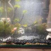 悦子(えつこ) おはようございます エッチな熟女(広島)