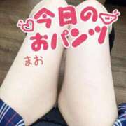 ヒメ日記 2025/07/17 10:34 投稿 まお チェリーデイズ