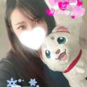 ヒメ日記 2026/02/05 17:18 投稿 みゆう 密着指導！バカンス学園 尼崎校