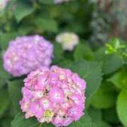 ヒメ日記 2025/05/27 09:55 投稿 かおり 電マナイザー イラマチオン