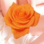 ヒメ日記 2025/08/24 23:00 投稿 ルイ〜清楚に見えて超敏感〜 ［人妻デリヘル］山口で評判のお店はココです！FC