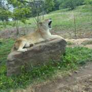 ヒメ日記 2025/05/25 00:09 投稿 おと 愛媛松山ちゃんこ