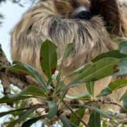 ヒメ日記 2025/06/09 11:56 投稿 おと 愛媛松山ちゃんこ