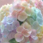 ヒメ日記 2025/07/12 10:59 投稿 おと 愛媛松山ちゃんこ