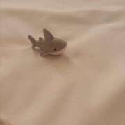 ヒメ日記 2025/07/17 15:32 投稿 おと 愛媛松山ちゃんこ