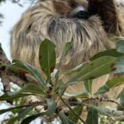 ヒメ日記 2025/10/02 08:59 投稿 おと 愛媛松山ちゃんこ
