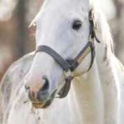 ヒメ日記 2026/01/01 14:46 投稿 菜々緒(ななお) 広島痴女性感フェチ倶楽部