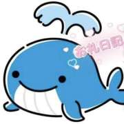 ヒメ日記 2025/06/29 22:45 投稿 初音めい DEEPS成田店