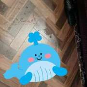 ヒメ日記 2025/07/15 22:35 投稿 初音めい DEEPS成田店