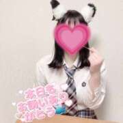 ヒメ日記 2025/08/01 09:55 投稿 初音めい DEEPS成田店