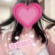 ヒメ日記 2025/08/14 21:05 投稿 初音めい DEEPS成田店