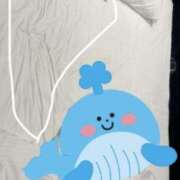 ヒメ日記 2025/12/12 10:05 投稿 初音めい DEEPS成田店