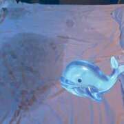 ヒメ日記 2025/12/12 13:15 投稿 初音めい DEEPS成田店